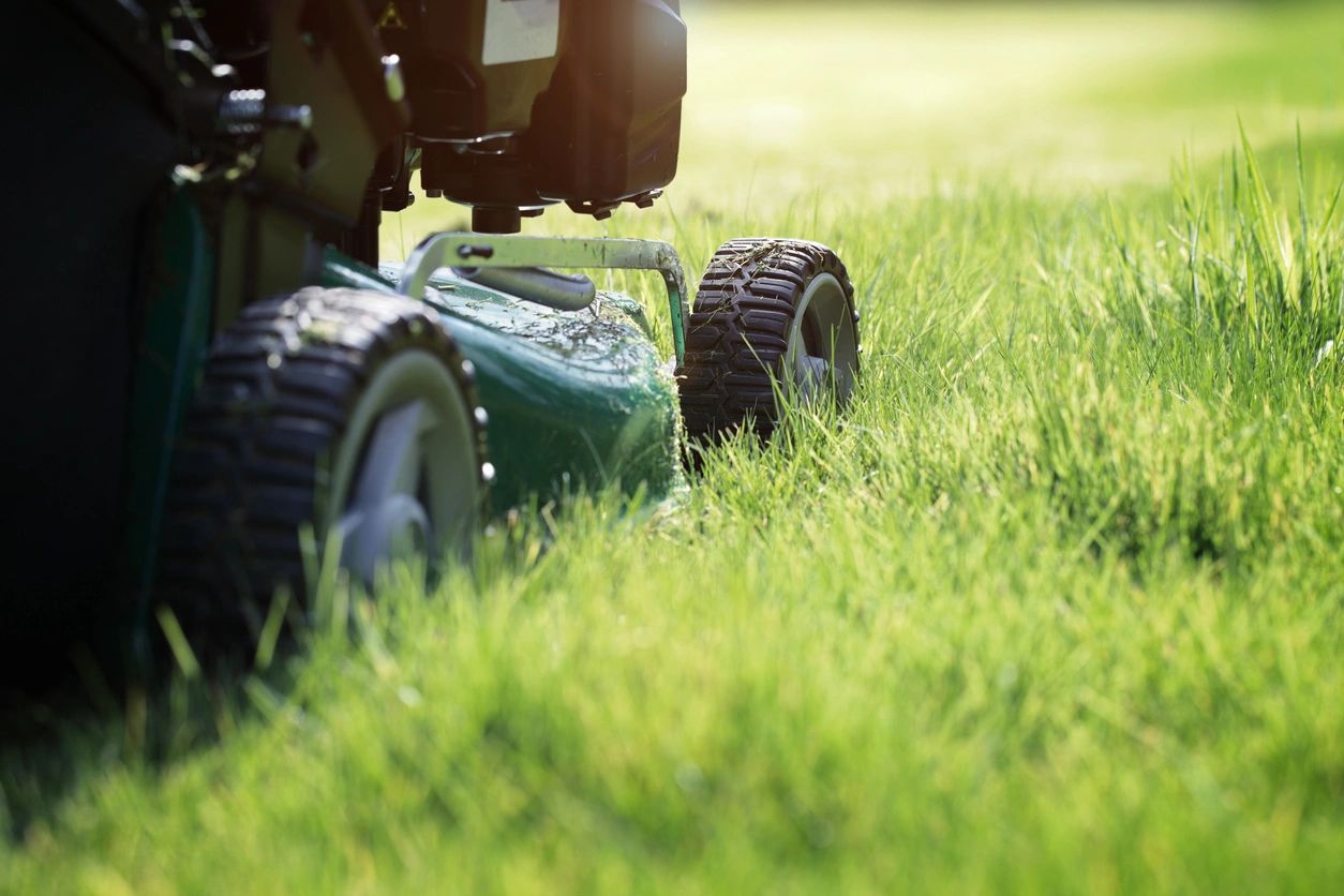 Freshly mowed green lawn