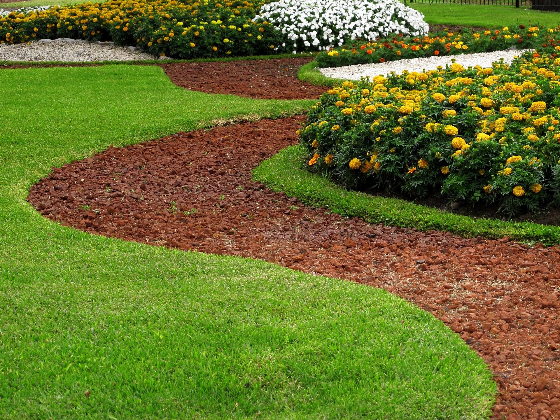 Manicured backyard garden with hostas