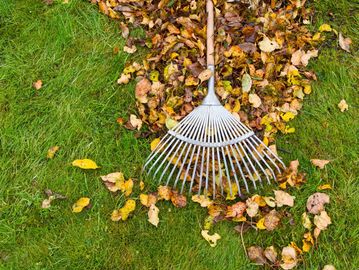 Autumn leaves yard cleanup