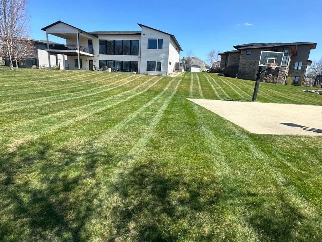 Beautifully striped residential lawn