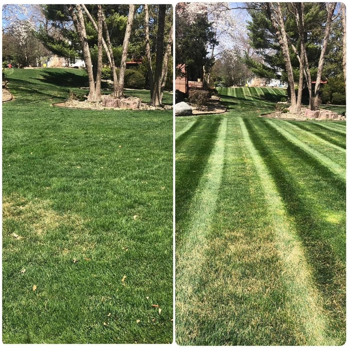 Before and after lawn transformation