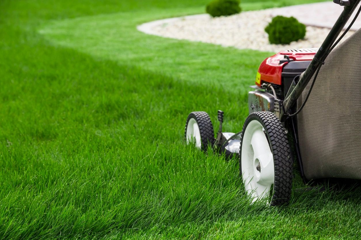 Lawn mower cutting residential grass